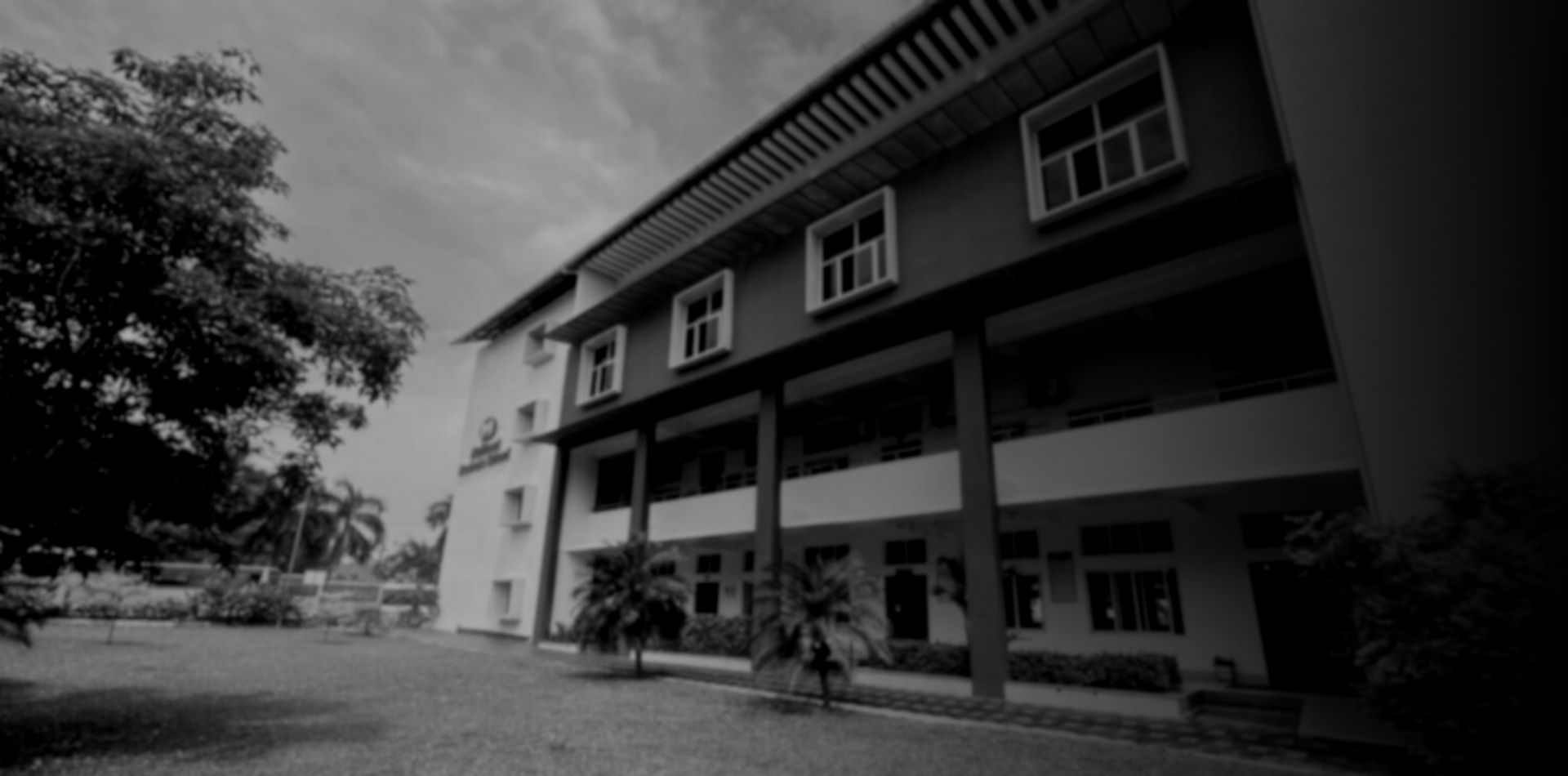 Message from                                                                                    Managing Director